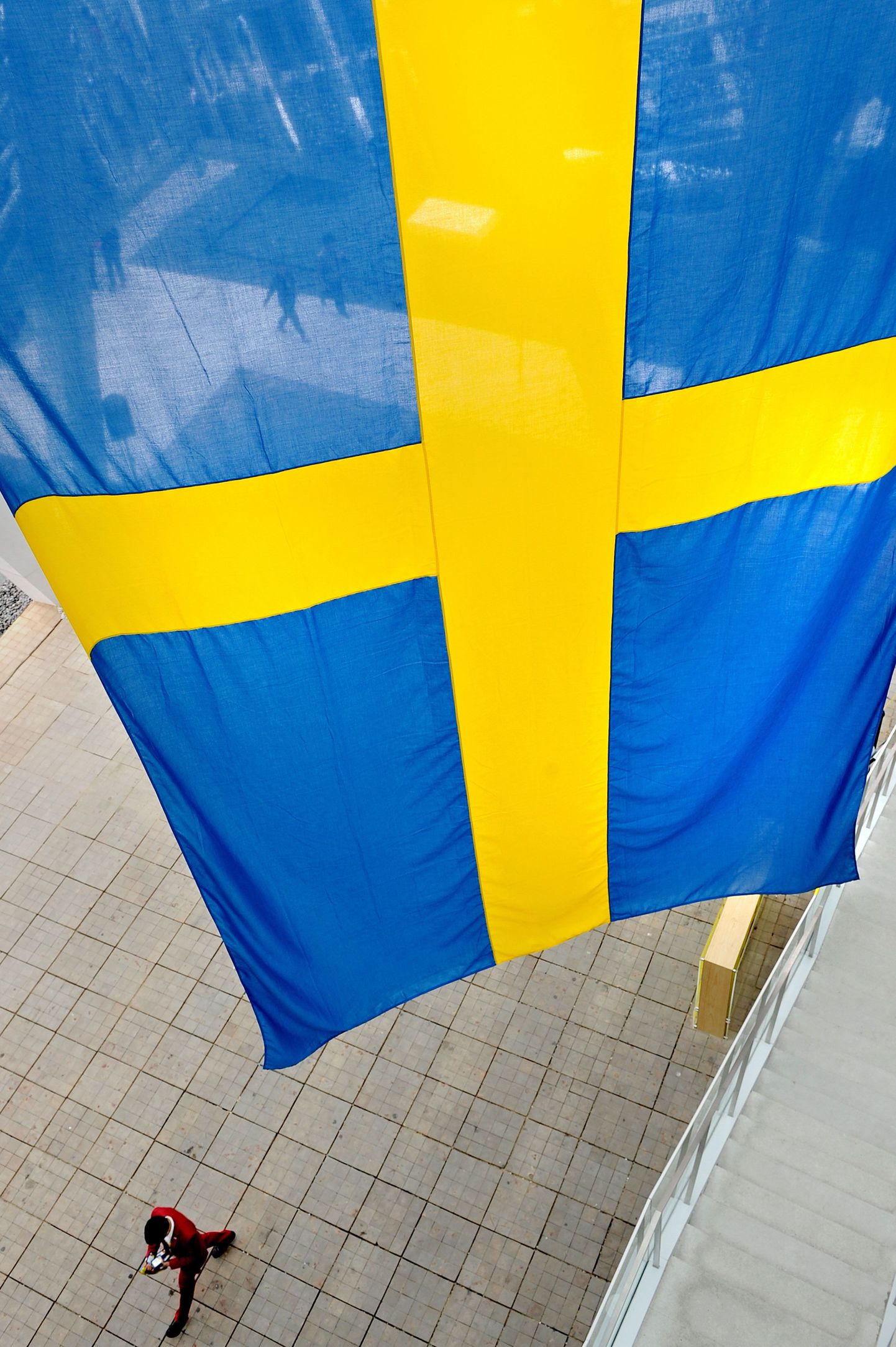 Rootsi demokraatlik partei viskas oma ridadest välja tosin liiget