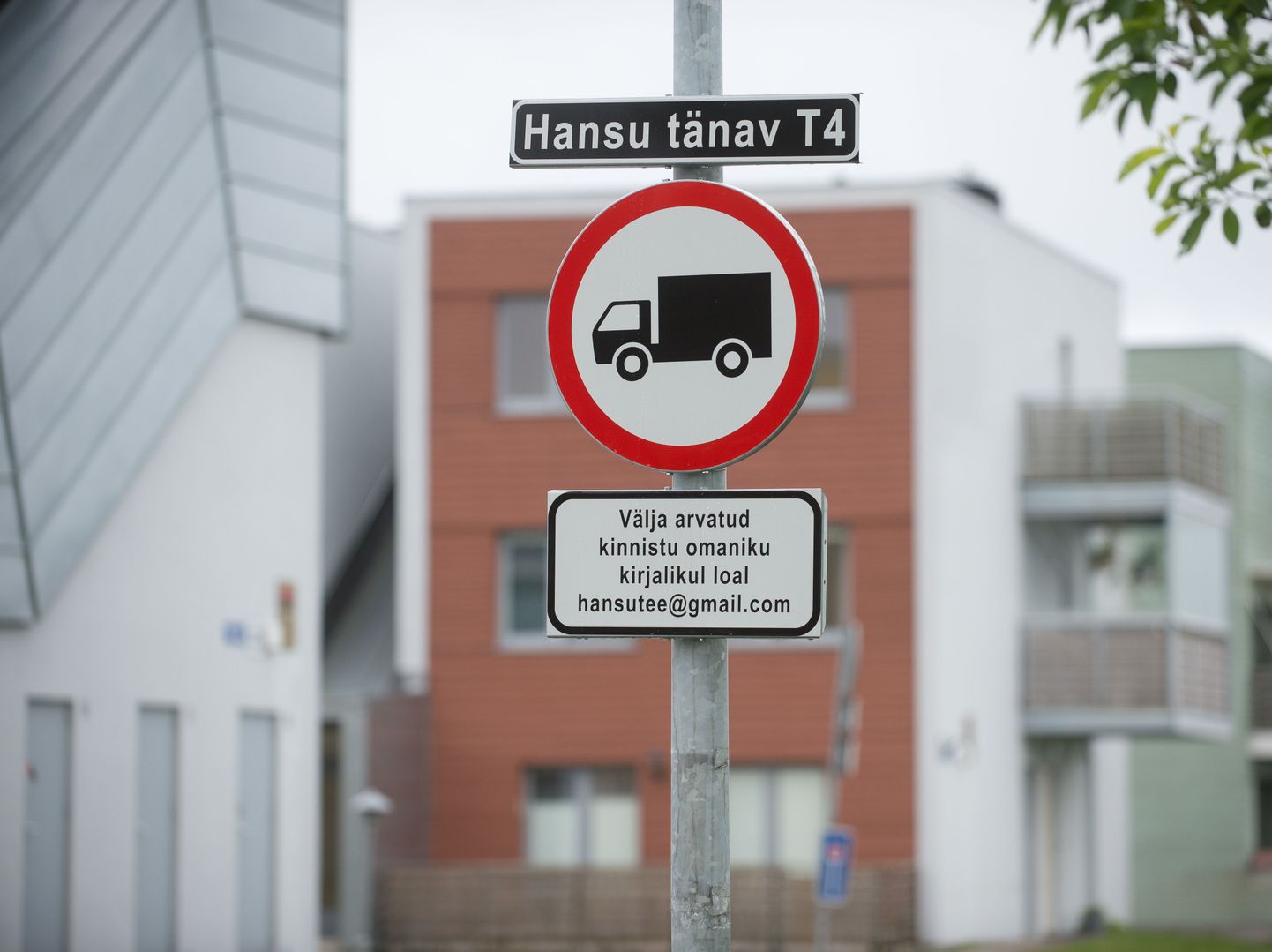 Oksjonilt Hansu tee ostnud ettevõte on tänaval korraldanud tasulise parkimise.