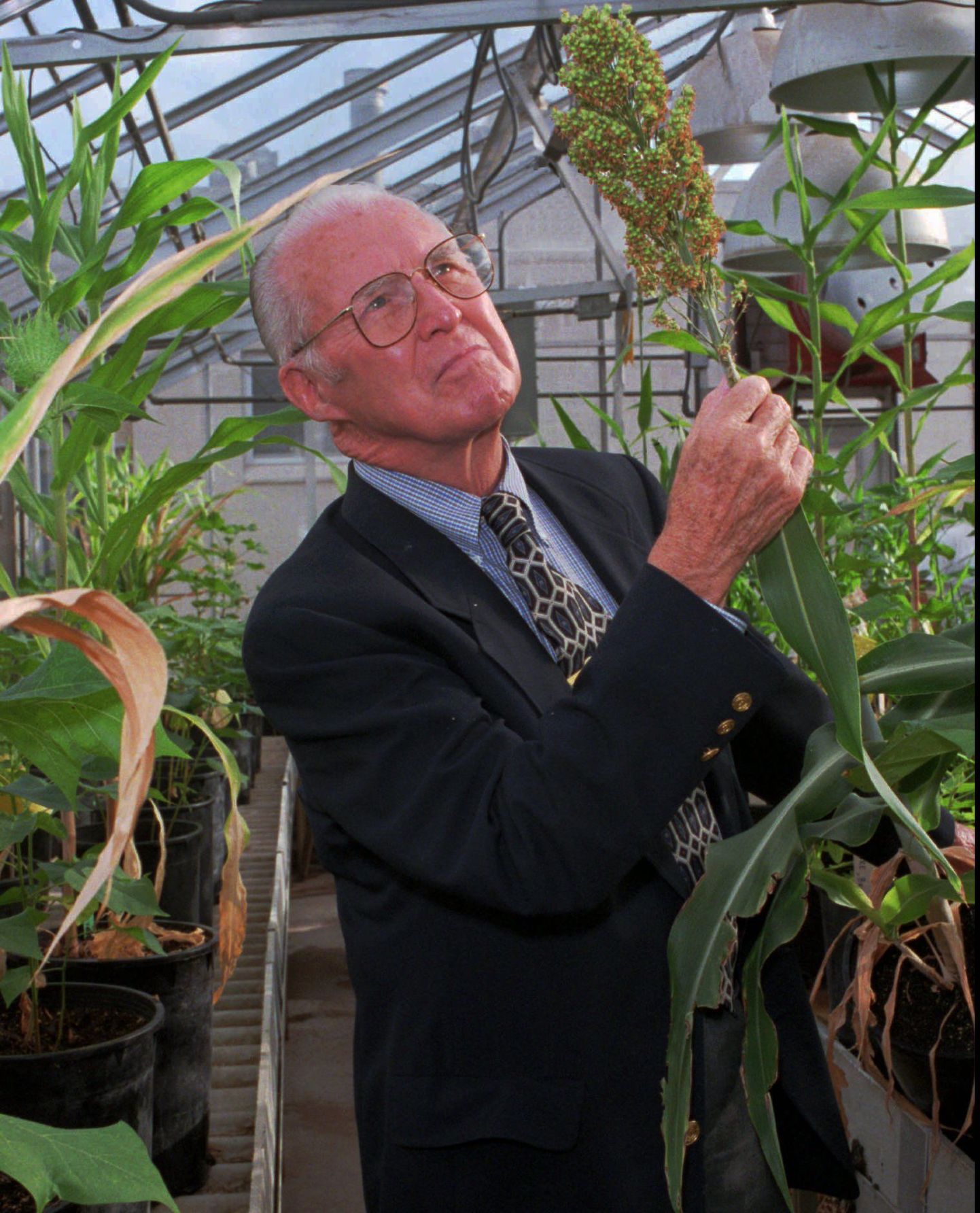 Pildil USA agronoom Norman Ernest Borlaug.