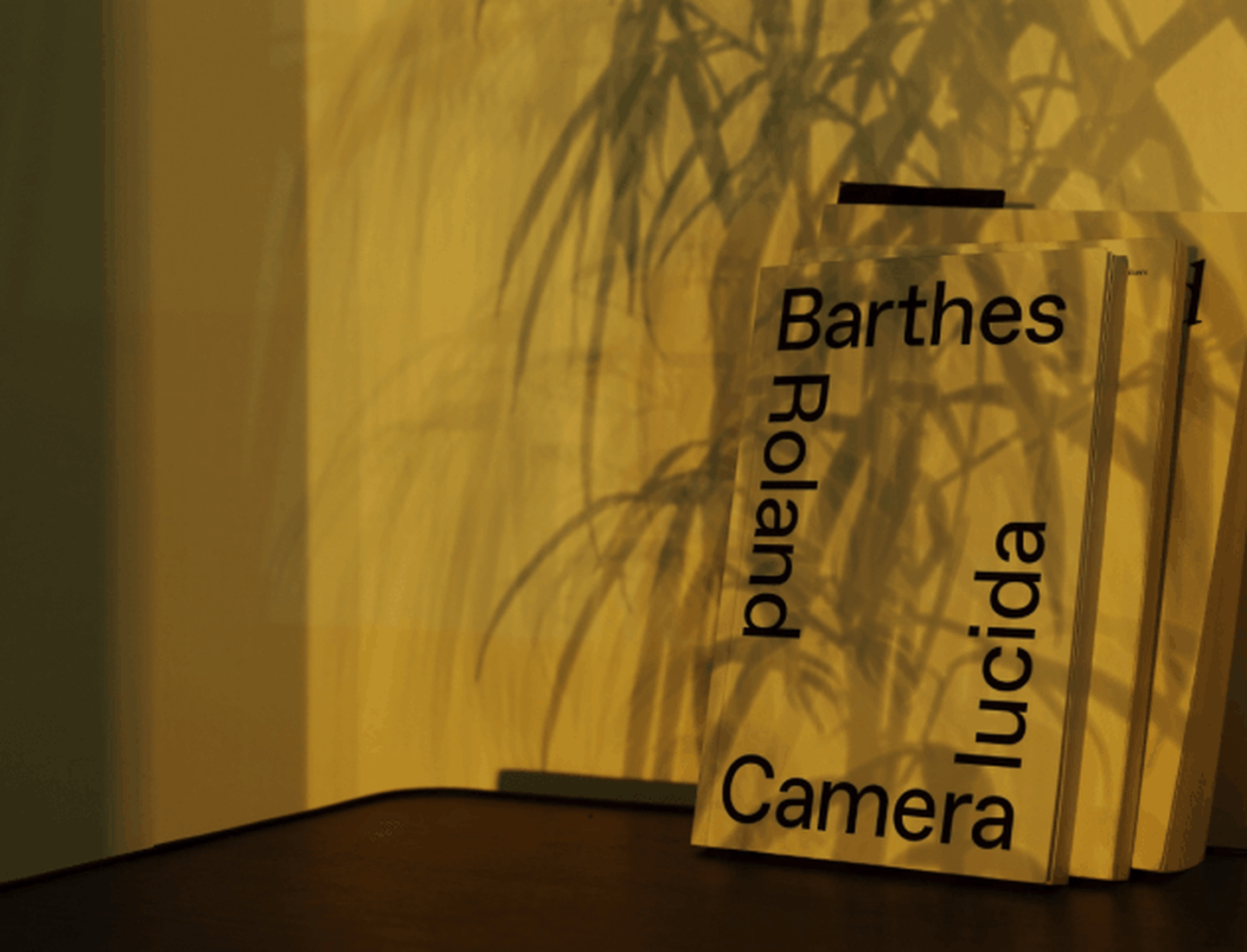 Roland Barthes’i raamat „Camera lucida: märkmeid fotograafiast”.