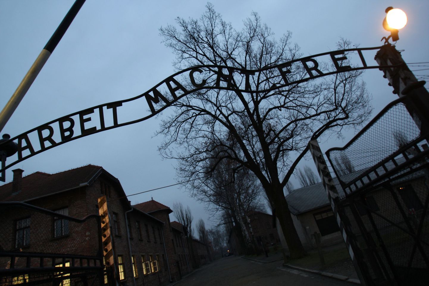 Poola vangid saavad Auschwitzis šokiteraapiat