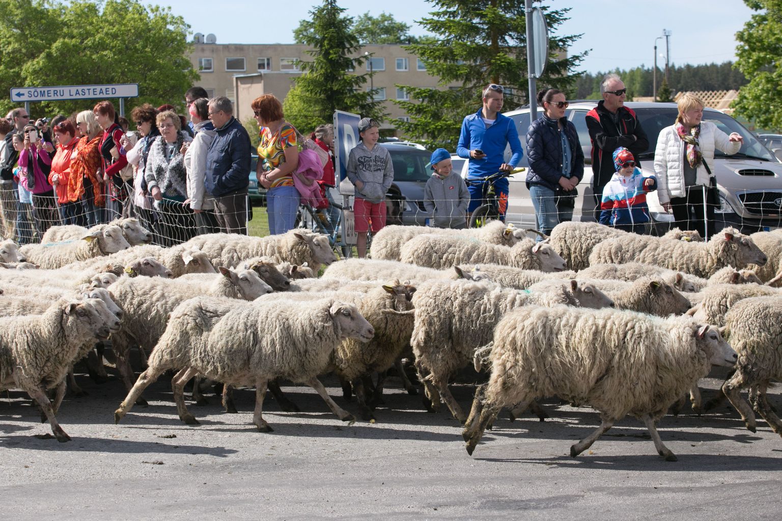 Meenutus eelmiste festivalide päevadest.