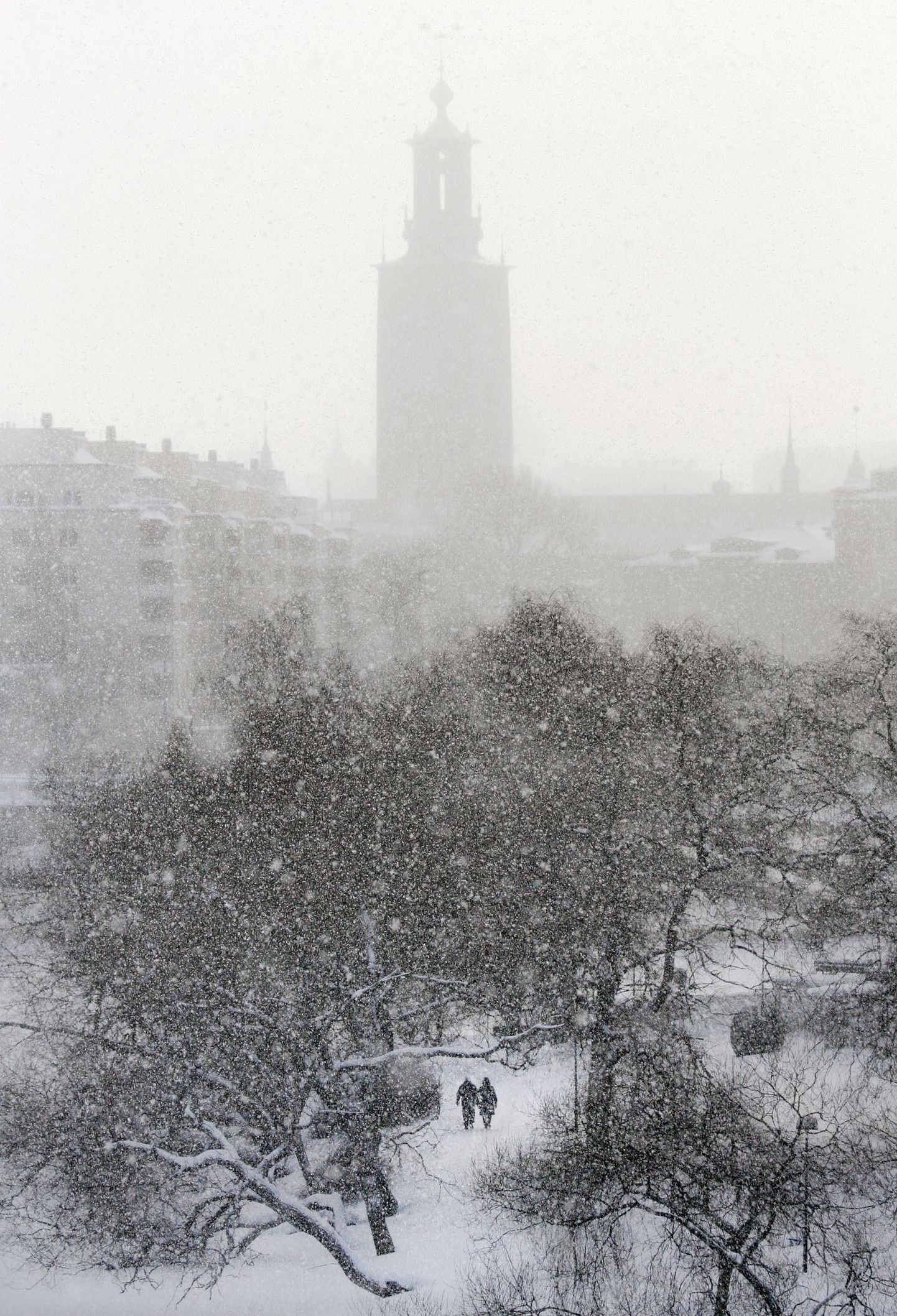 Lumesadu Stockholmis tänavu veebruaris
