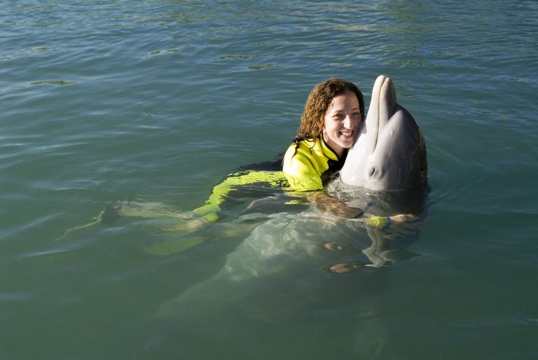 Delfiinidega ujumine