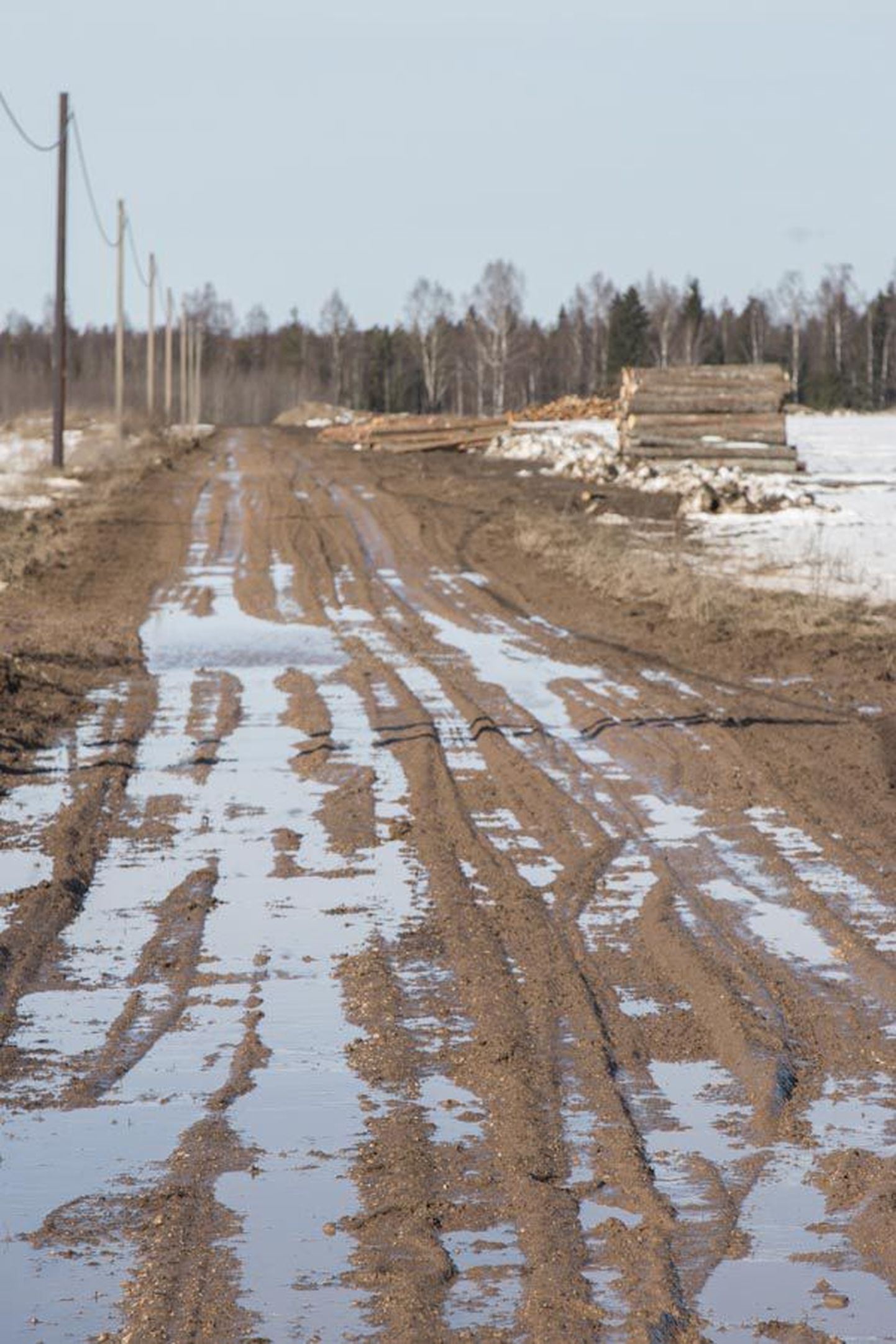 Ehkki Järtsaare küla juures kulgev pisike tee oli ka neljapäeval sõiduautoga läbitav, tulnuks seal jalgsi käies trotsida mudakihti ja porilompe.