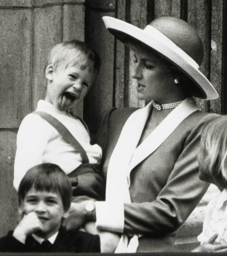 Printsess Diana oma poegade, prints Williami ja Harryga