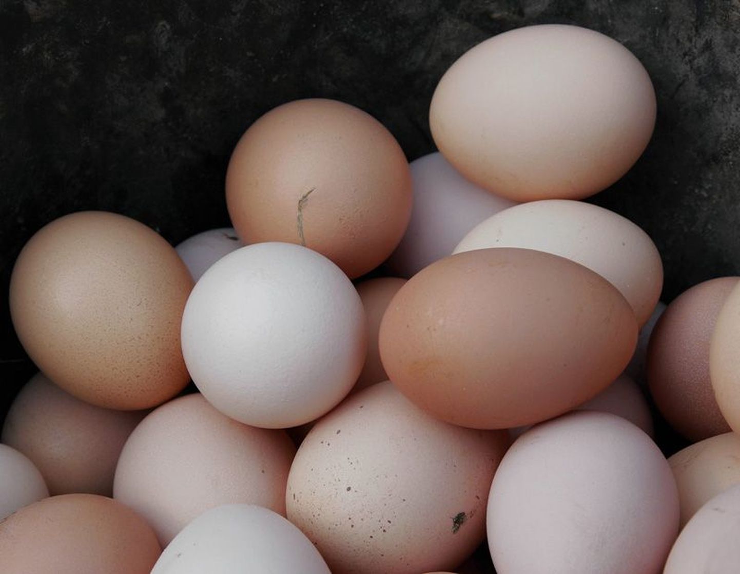 4. märtsil on kanamunad (10 tk) Rakvere turul 1.50 eurot.