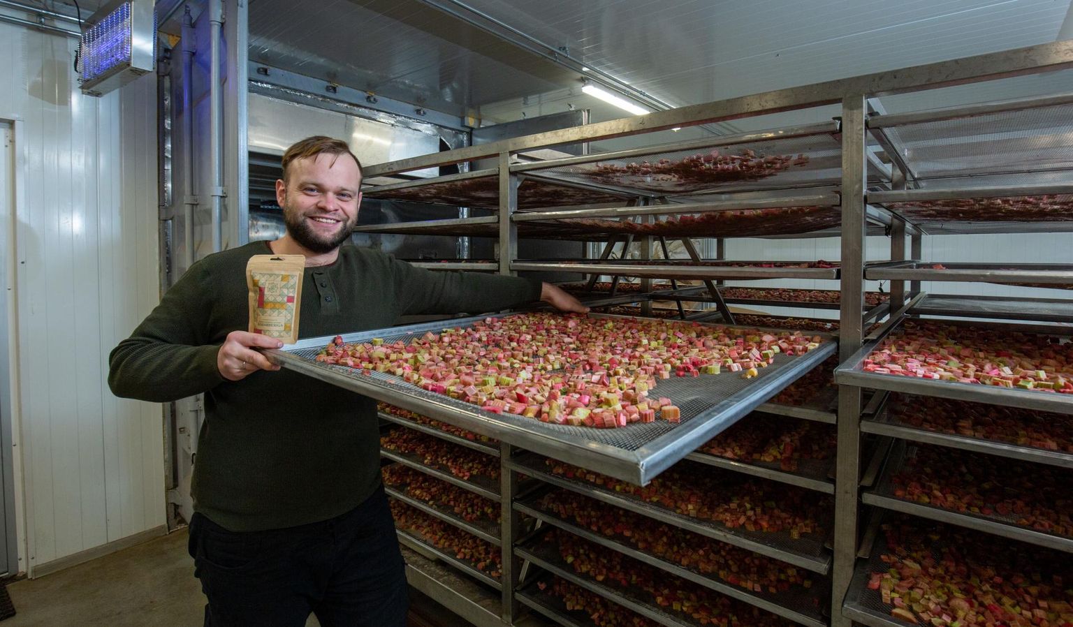 Osaühingu Mahe Eeriksaare tootmishoones kuivatati veel novembri algul sügisest rabarberit. Ettevõtte juhi Martin Laansalu sõnul ootas kuivatisse minekut ligi 200 kilo tükeldatud varsi, et need hiljem koos kummeliga teeseguks teha.