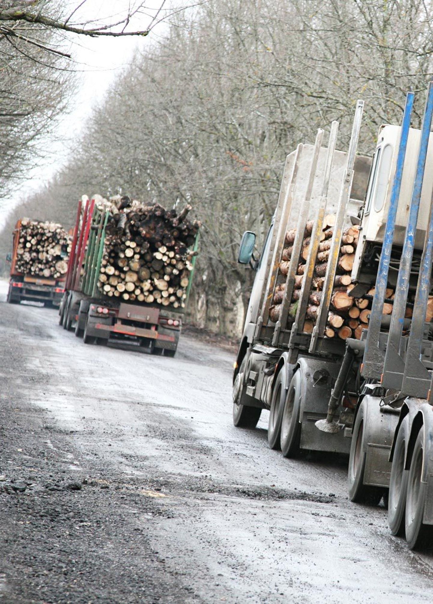 Metsaveoautod sõidavad enamasti raskema koormaga, kui seadus lubab.
