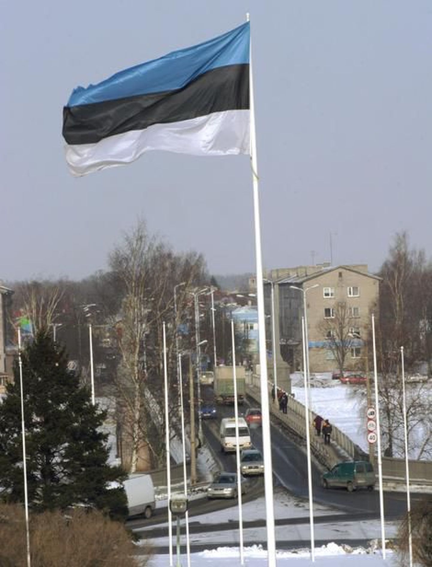 Эстонский национальный флаг. Иллюстративный снимок.