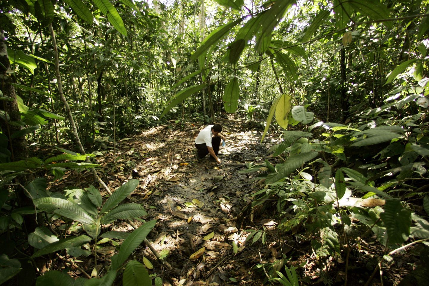 Brasiilias eksis laps viieks päevaks metsa
