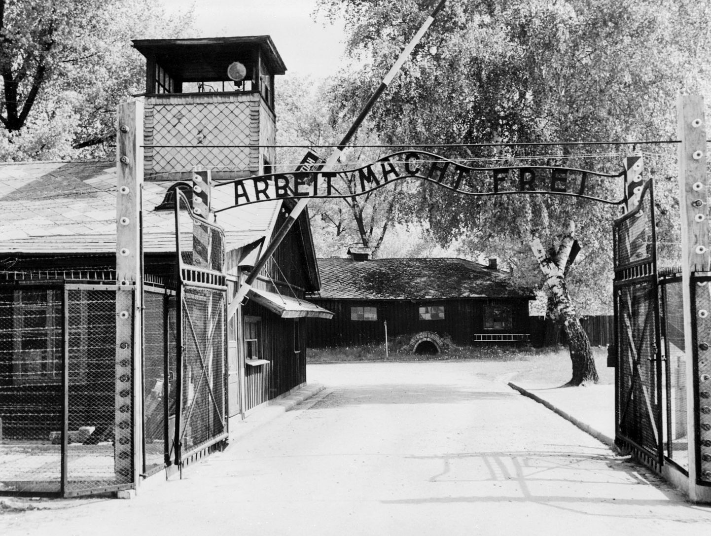 1945. aasta arhiivifoto Auschwitzi koonduslaagri väravast