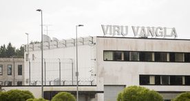 Viru vanglas suri kinnipeetav
