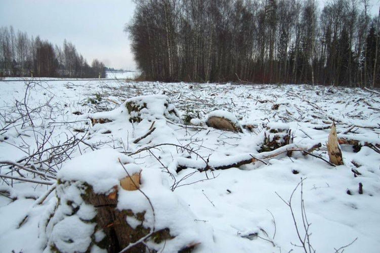 Lageraie Vooremaa maastikukaitsealal. Foto on illustreeriv.