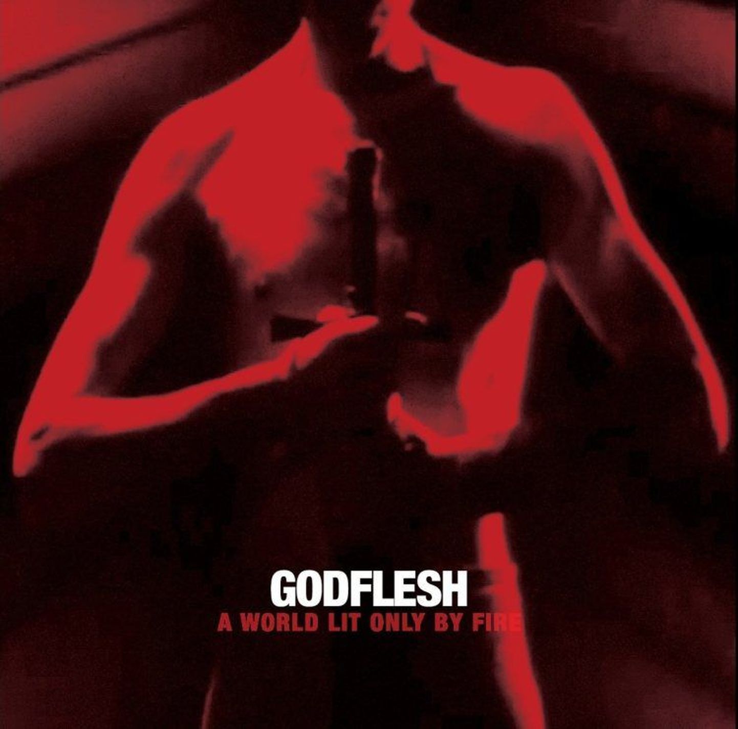 Godflesh-World Only Lit By Fire