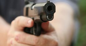 В Эстонии полиция получает 50 вызовов в месяц из-за публичной демонстрации оружия