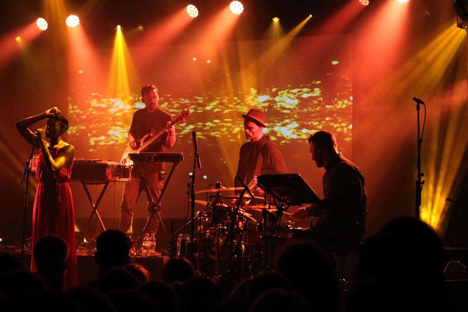 Bonobo Rock Cafés.