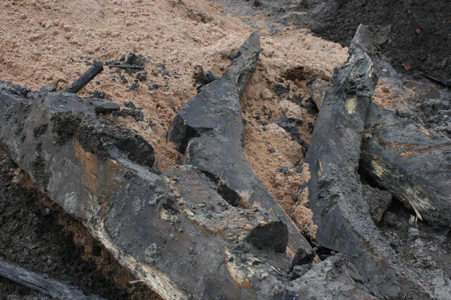 Обломки старинного корабля, найденные в Таллинне.