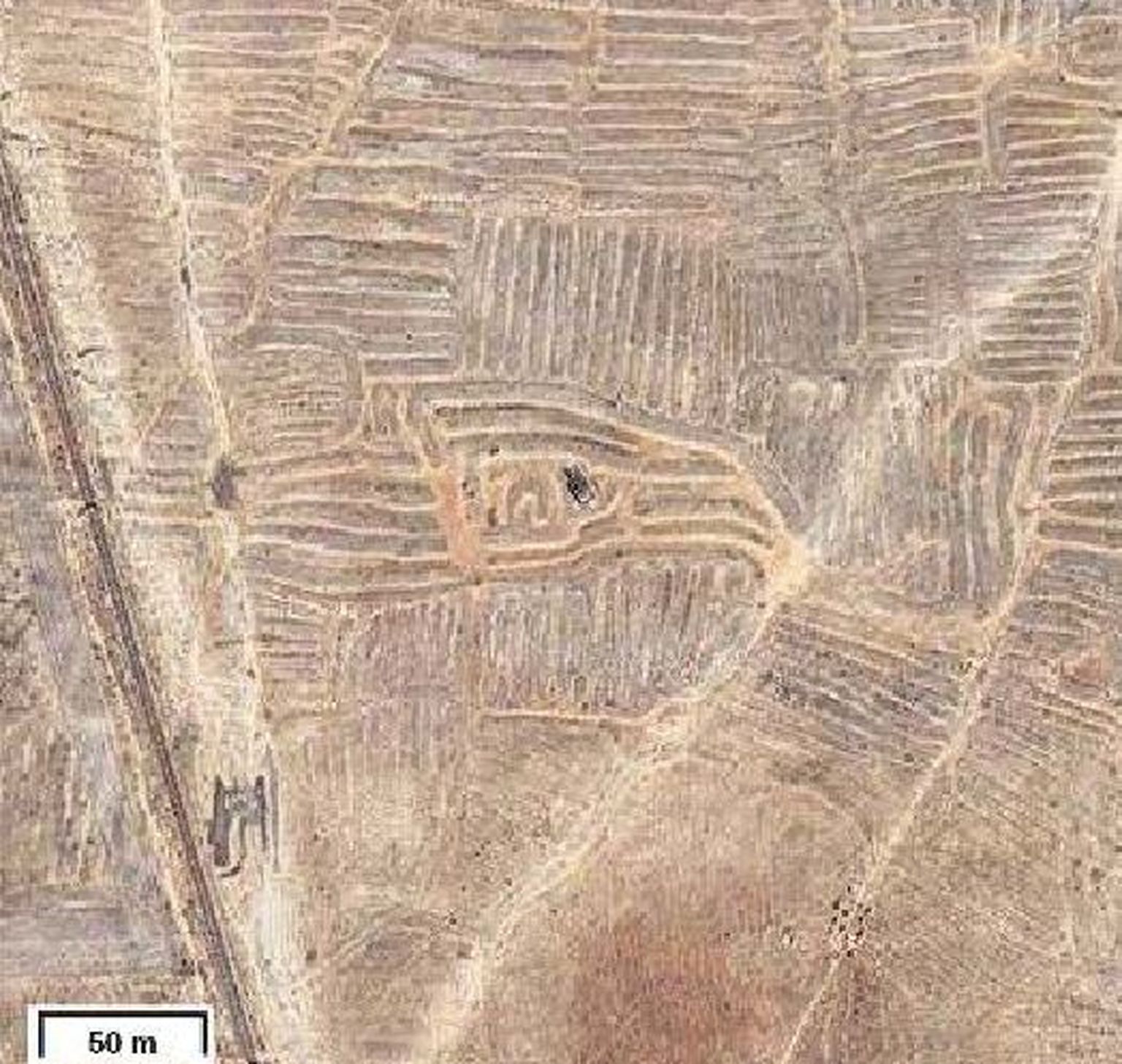 Titicaca järve äärest avastati geoglüüfid