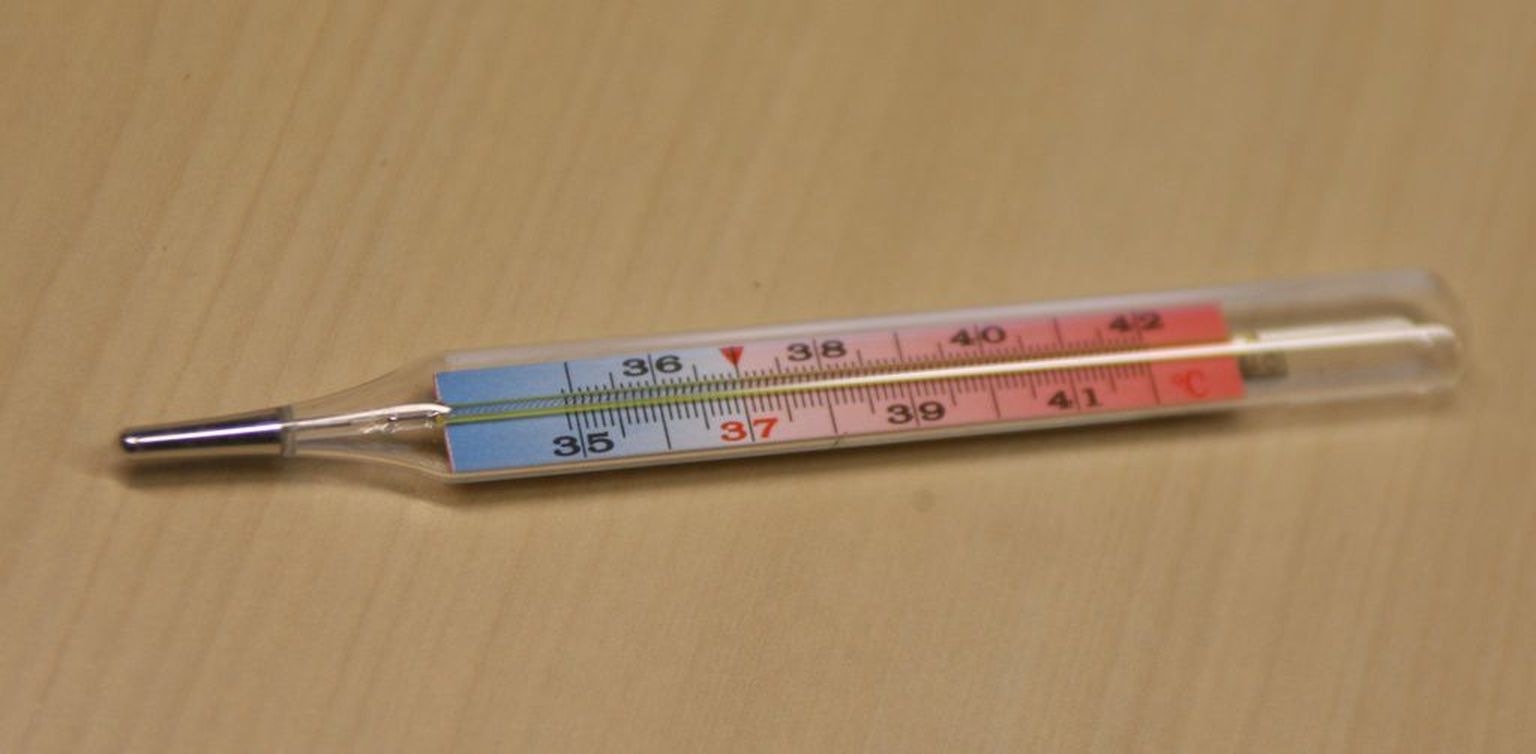 Lennuki meeskonnal ja reisijatel keelati lennuväljalt lahkuda, sest Lennuki sanitaarkontrolli ajal avastasid arstid, et ühel kahest meeskonnaliikmest on palavik.