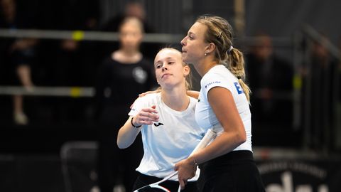 Fed Cup:      