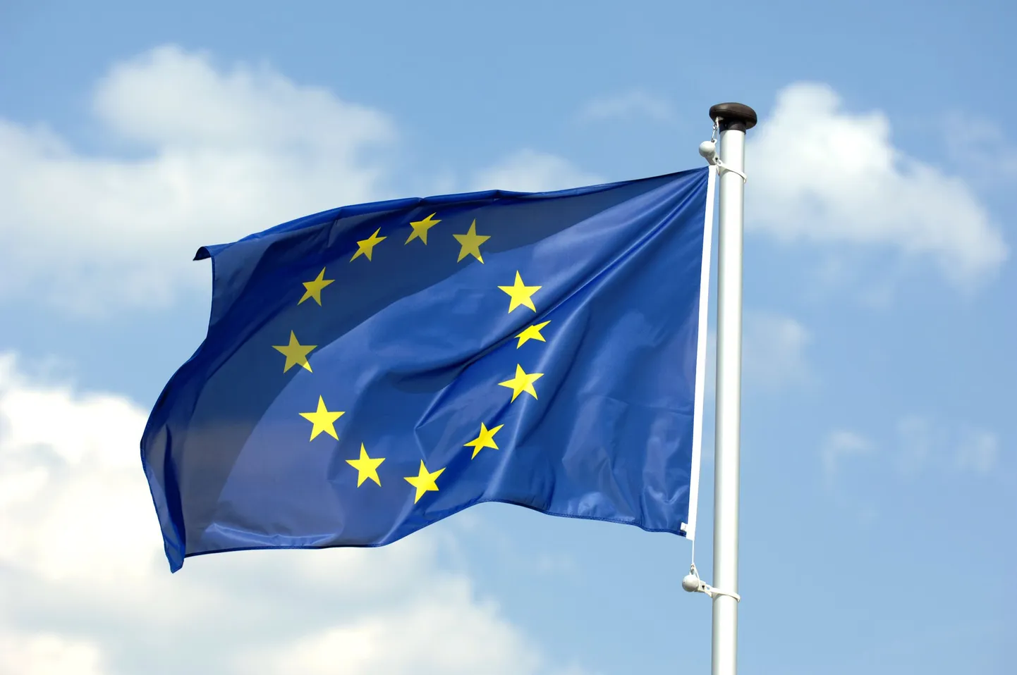 Lehviv Euroopa Liidu lipp.