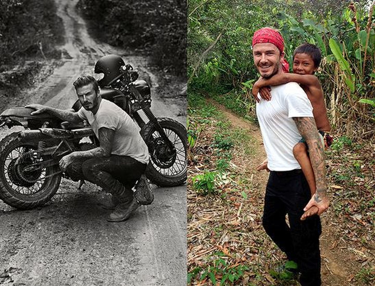 David Beckham Amazonases