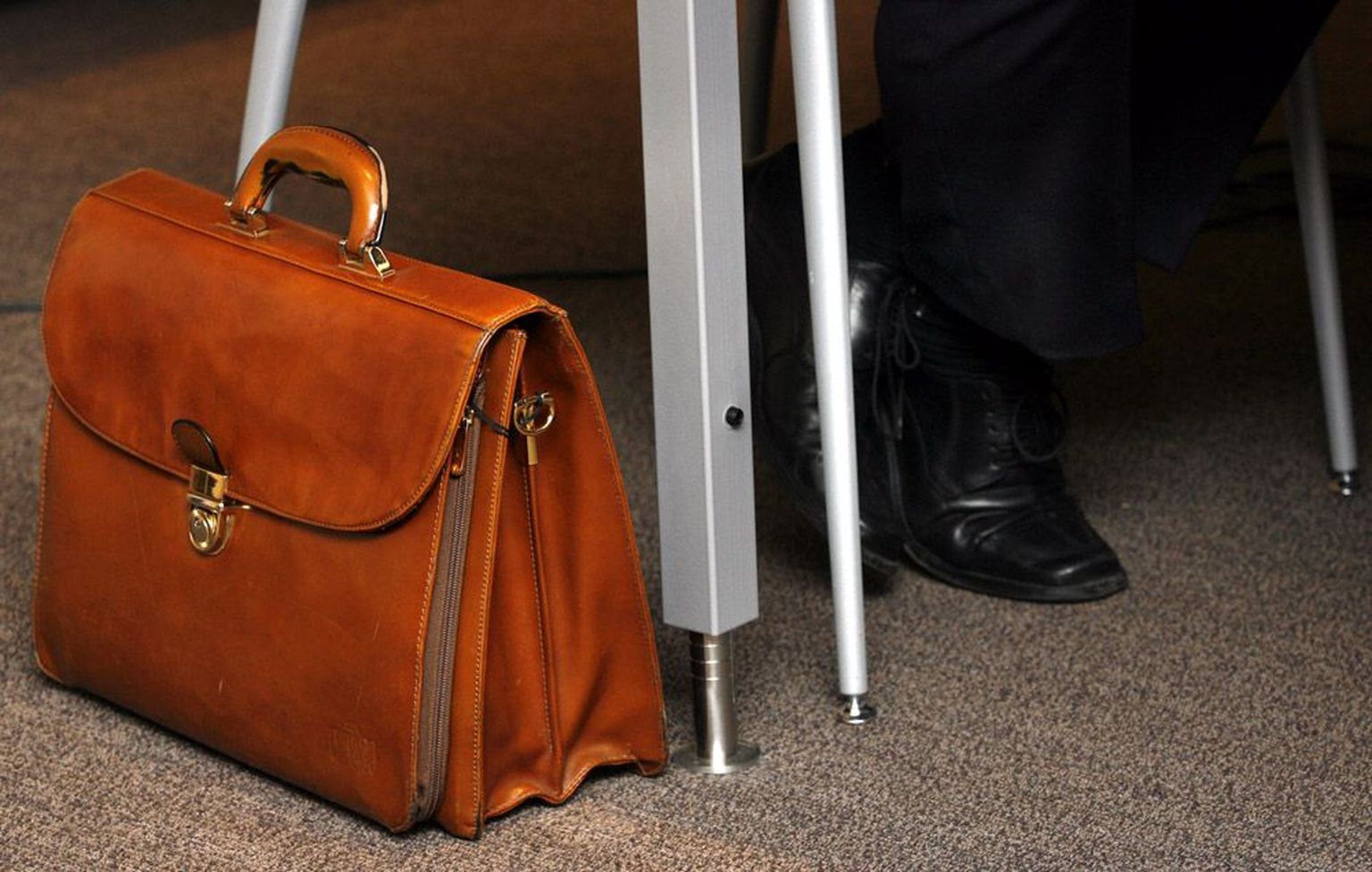 Paljud praeguste aegunud reeglite alusel riiki teenivad inimesed kardavad ametnikuportfellist ilma jääda ning pelgavad, et uued avaliku teenistuse reeglid võivad tulla neile kahjulikumad.