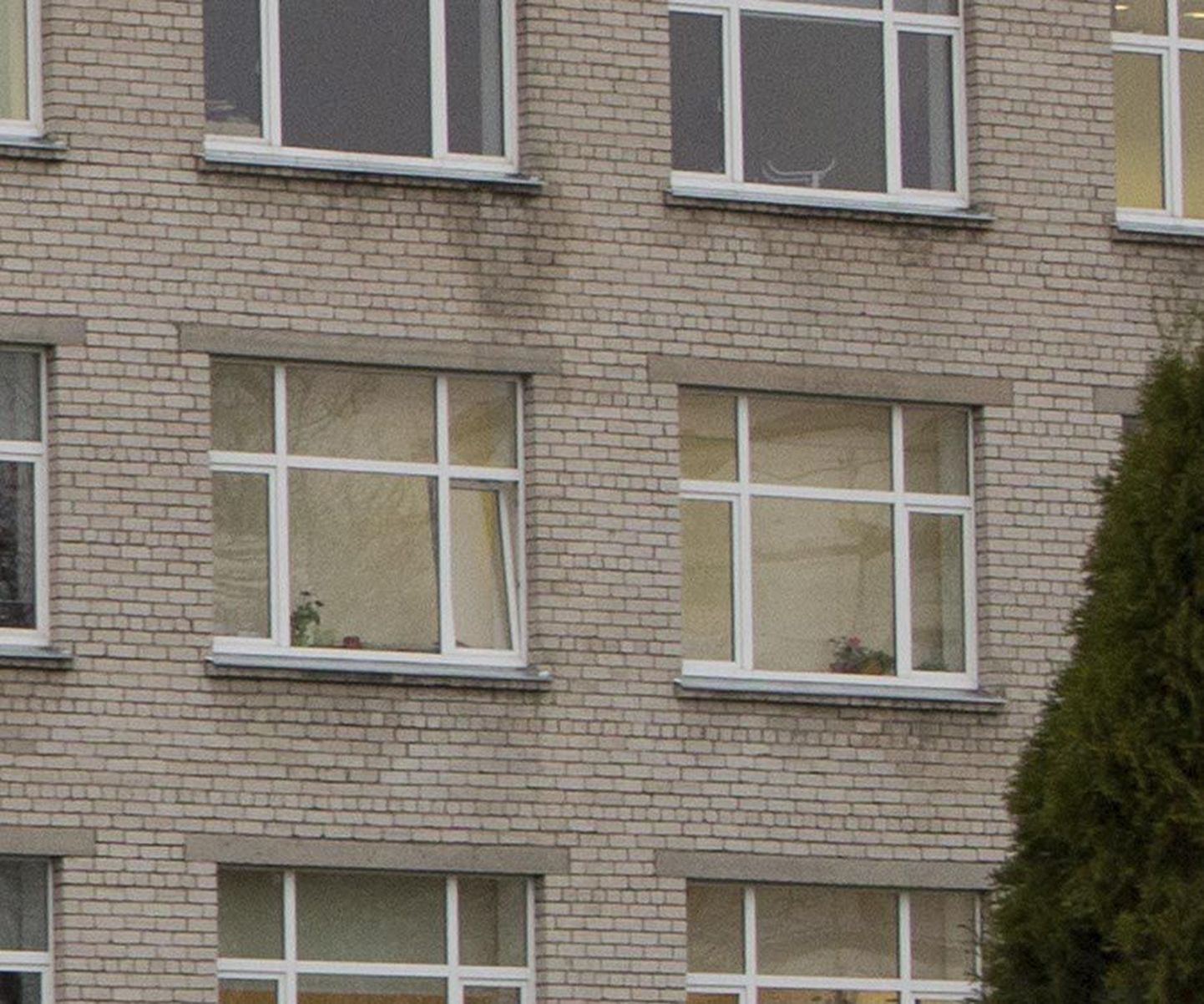 Seda, mis Paalalinna kooli klassiruumi number 204 akende taga esmaspäeva pärastlõunal aset leidis, nägi vahetult pealt neli õpilast, kuid juhtunu vapustas tervet Eestit.