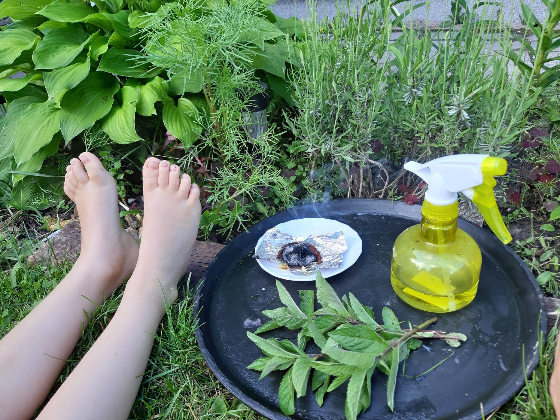 Seda pilti tehes ootasime kümme minutit, et mõni sääsk säärtele maanduks, aga ei midagi. Niipea kui suits vaibuma hakkas, olid nad kohe platsis.