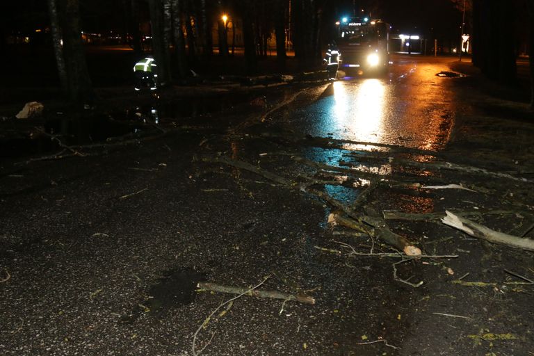 Päästjad koristasid teel langenud puu Pärnus Suur-Jõe tänavalt ka kella 21 paiku.