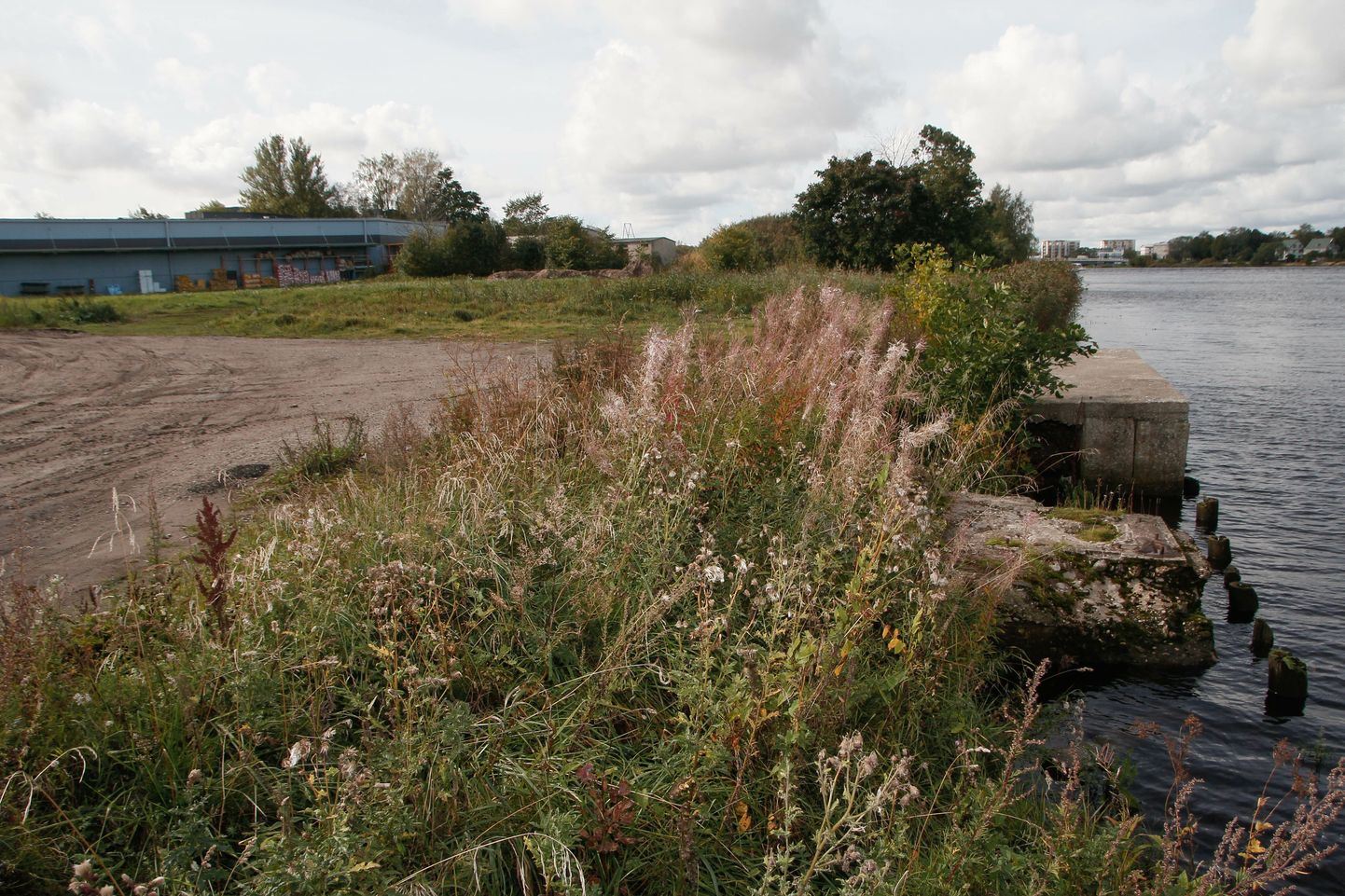 Jaansoni raja tulevane asukoht Pärnu jõe vasakkaldal, Lai 22 kinnist piiril.