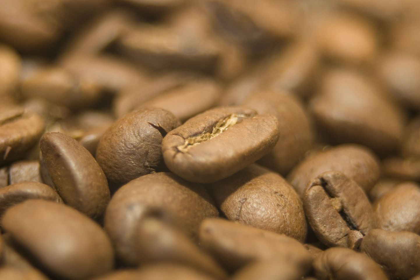 Цена на кофе достигла рекордного уровня за последние два года.