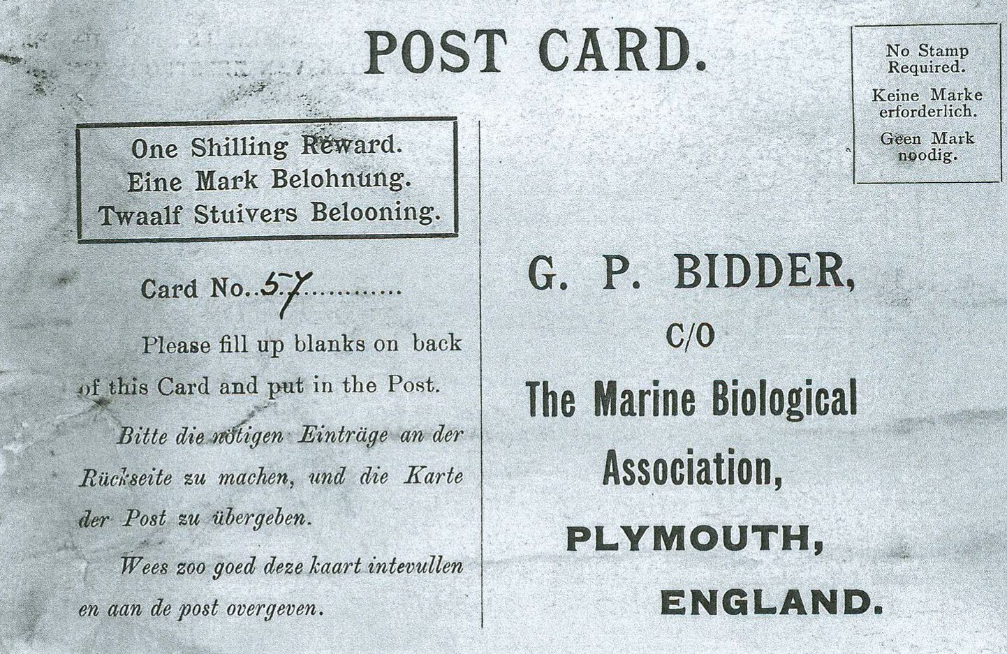 Postkaart pudelist, mis leiti sajand pärast vetteviskamist.