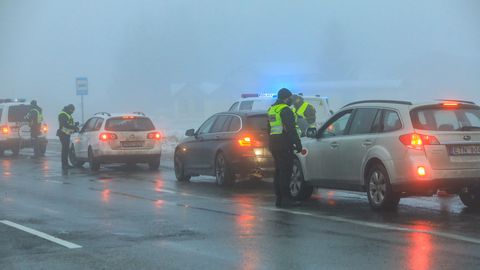 Фото: rus.postimees.ee