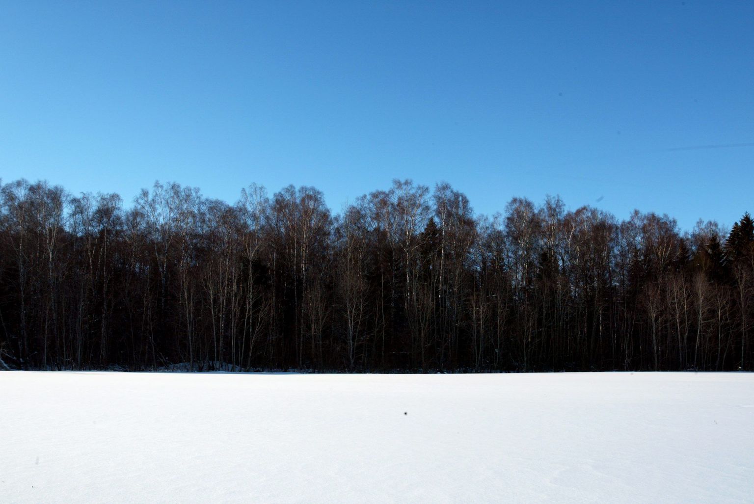 Talvine Eestimaa.