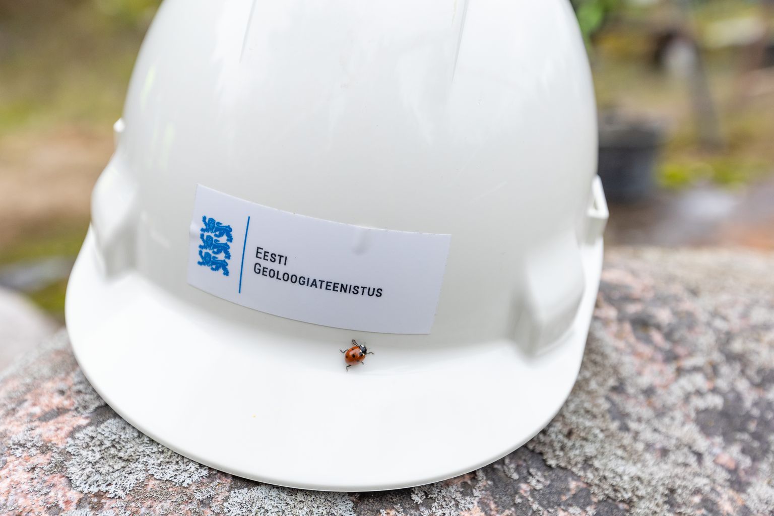 Geoloogiateenistus.
Foto: Dmitri Kotjuh/ Järva Teataja