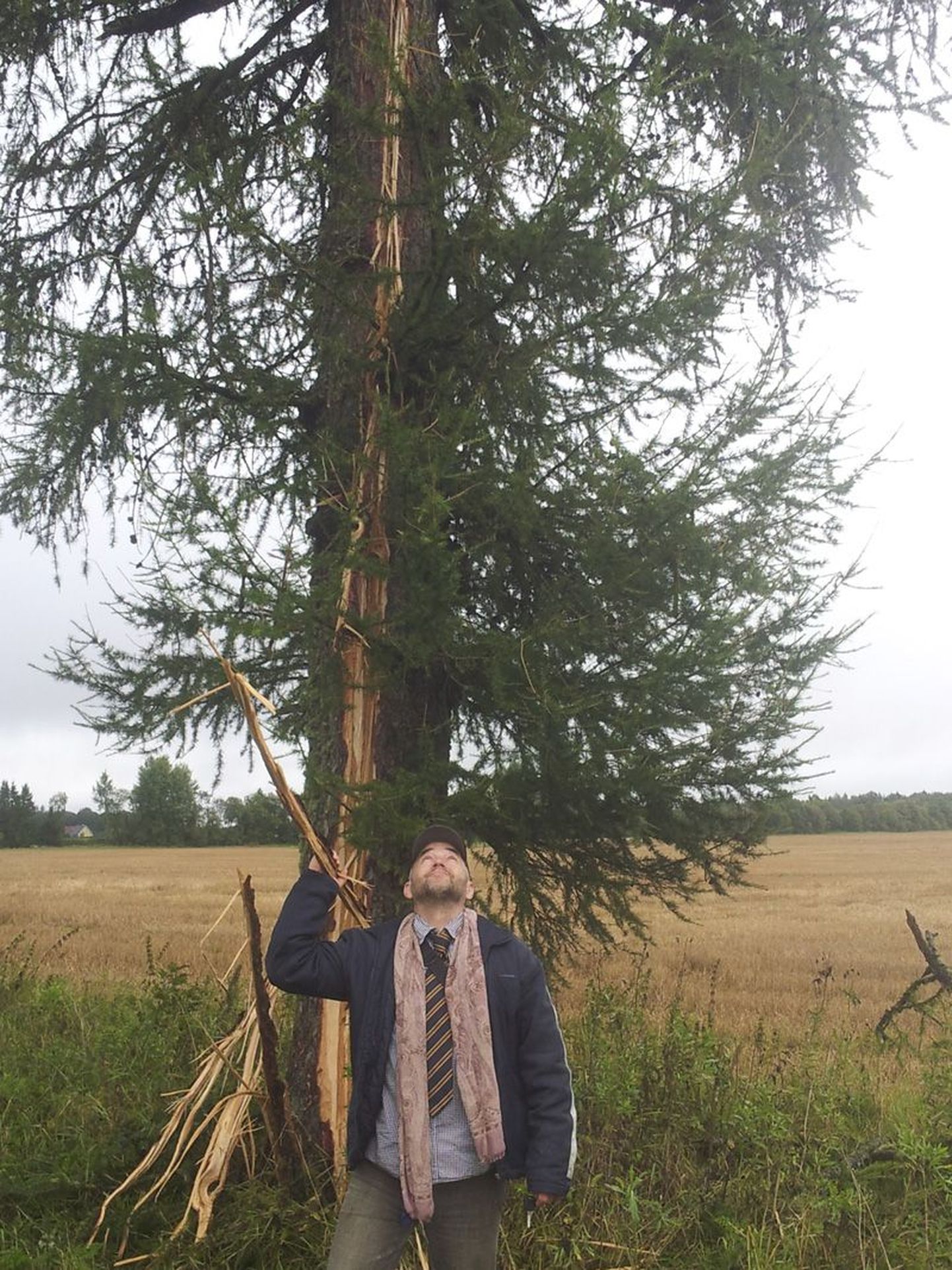 Aaspere mõisaalleel välgutabamuse saanud puu tuletas Rickile meelde elu haprust.