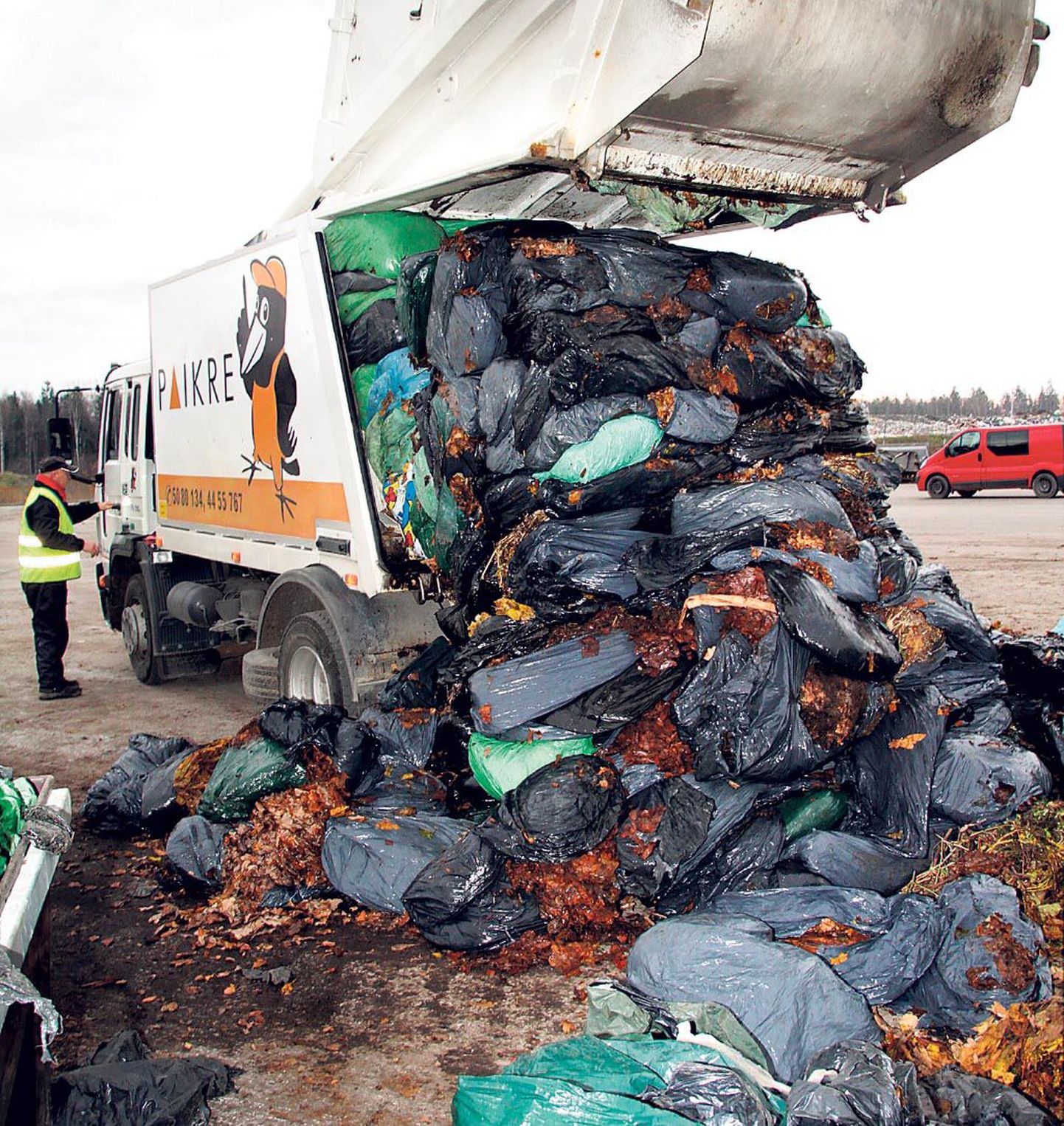 Tänu linna sekkumisele jõudis Paikresse kompostimisele hulk kilekottidesse pakendatud lehti, mille äraveo eest tulnuks pärast 1. novembrit täiendavalt maksta.