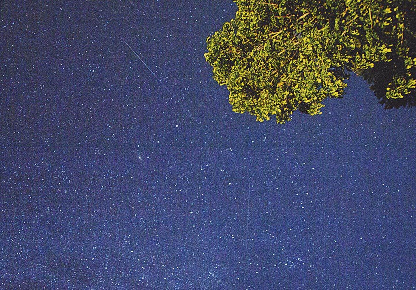 Taevas Pärnu lähedal Urges ööl vastu eilset. Tähelepanelik vaatleja näeb pildil ka kaht “langevat tähte”.