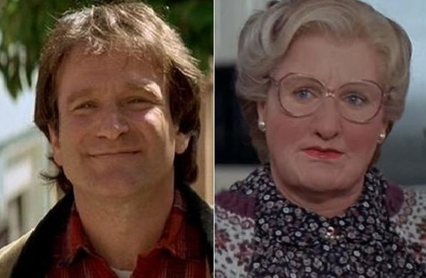 Robin Williams filmis «Mrs. Doubtfire»