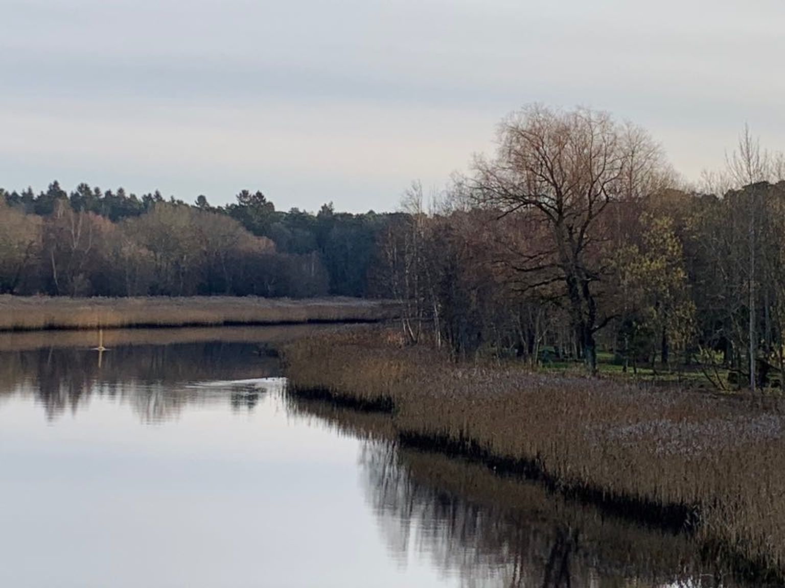 Vaade Pirita jõele.