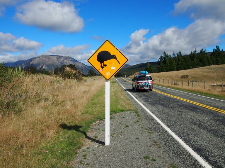 Uus-Meremaa. Liiklusmärk hoiatab, et teele võivad astuda kiivid. 