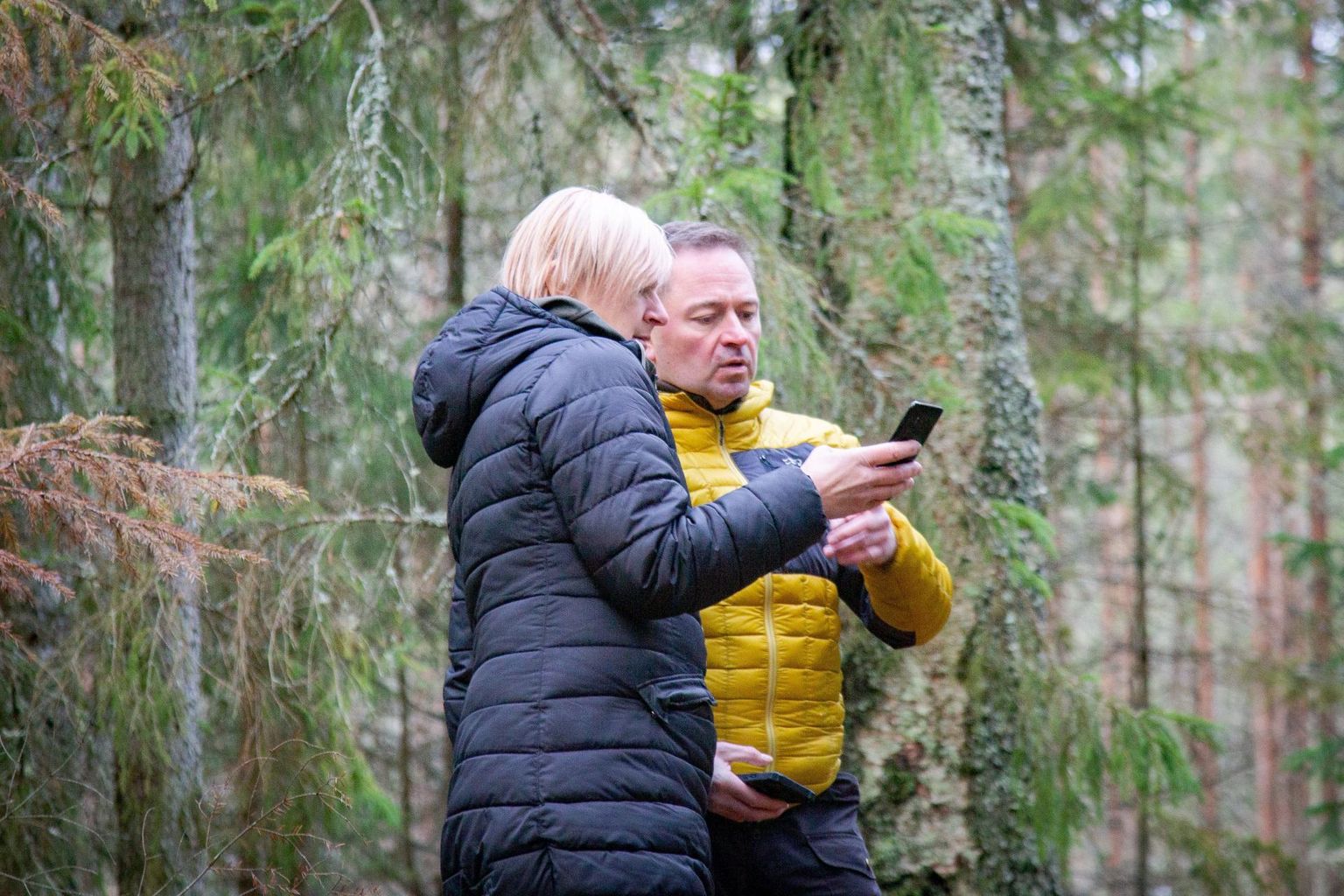 Geopeitur Hanno Tamtik viis ajakirjaniku ja fotograafi Häädemeeste valda peidetud aardeid otsima, puu otsas jäi seekord käimata kõigil kolmel.