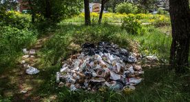 Кто это сделал? В Ласнамяэ в кустах валяются кучи мусора с отбросами из Hesburger (фото)