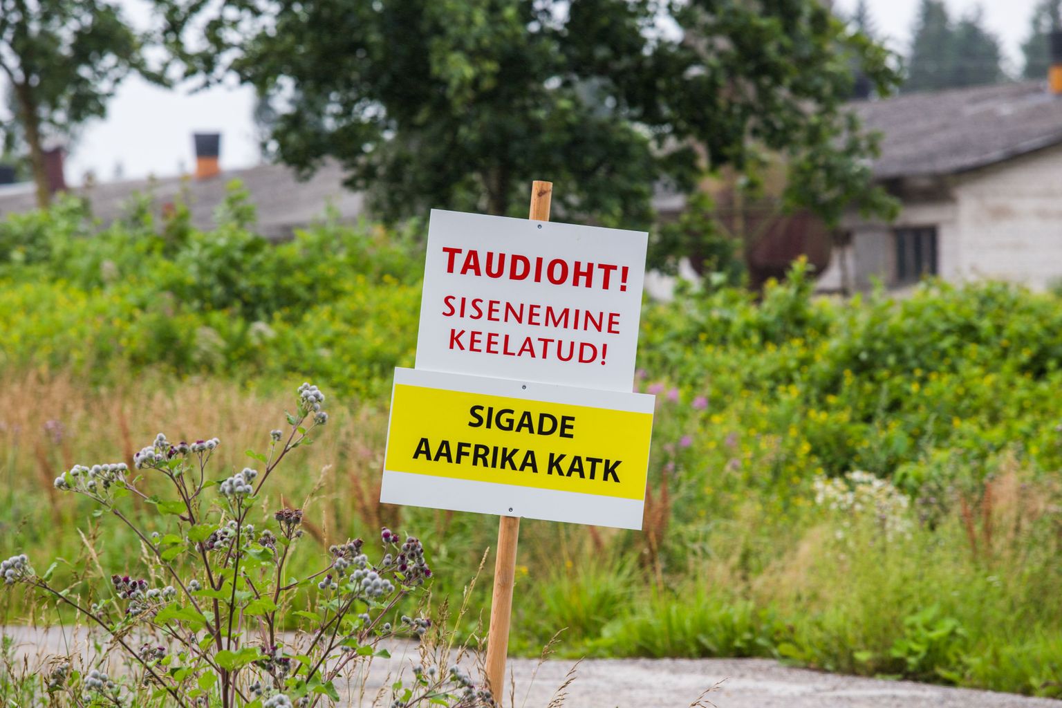 Seakatk. Pilt on illustratiivne.