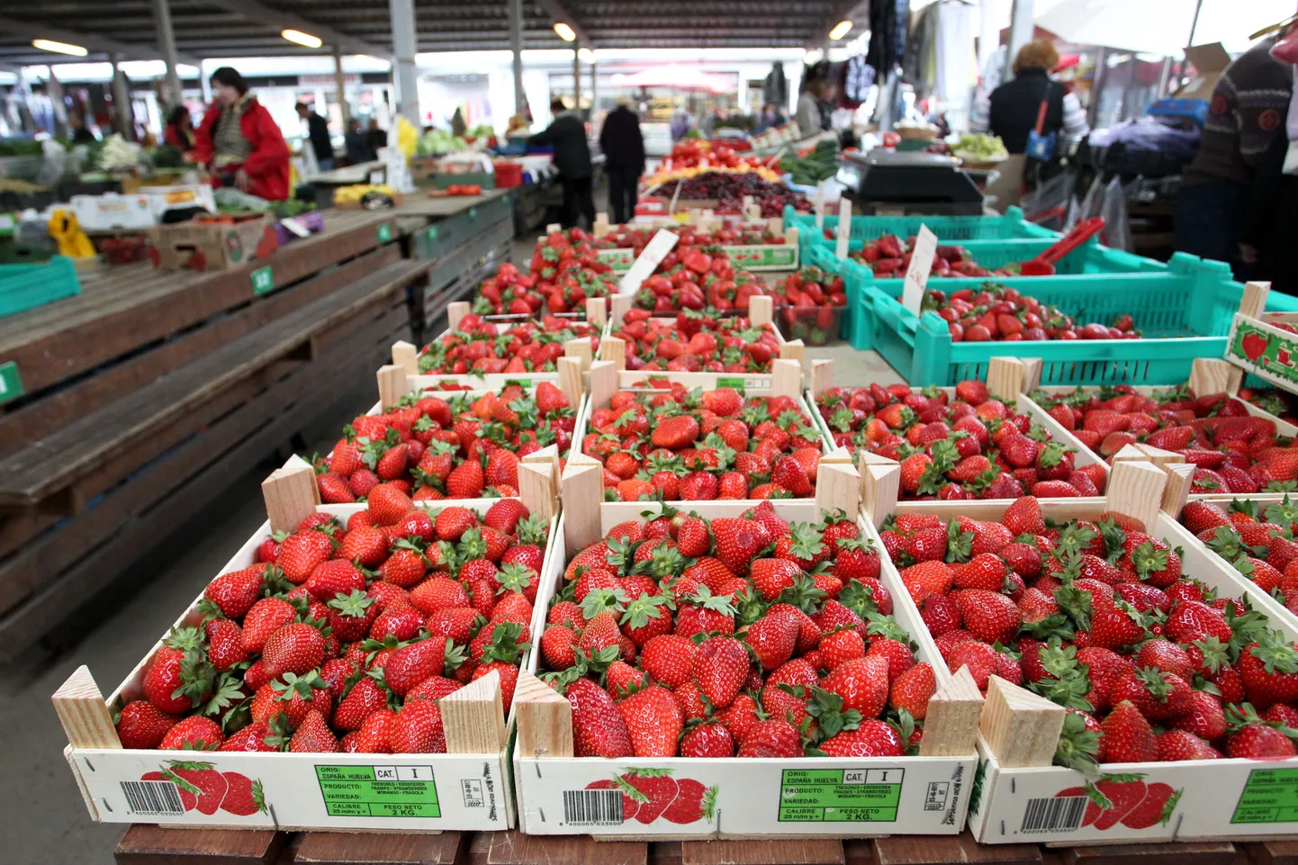 Praegu on Eesti turgudel müügil võõrsilt toodud maasikad.