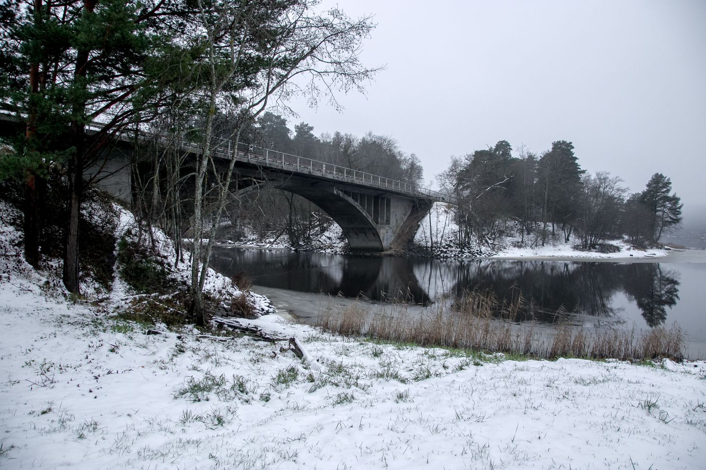 Lumine loodus ja Reiu jõe sild.