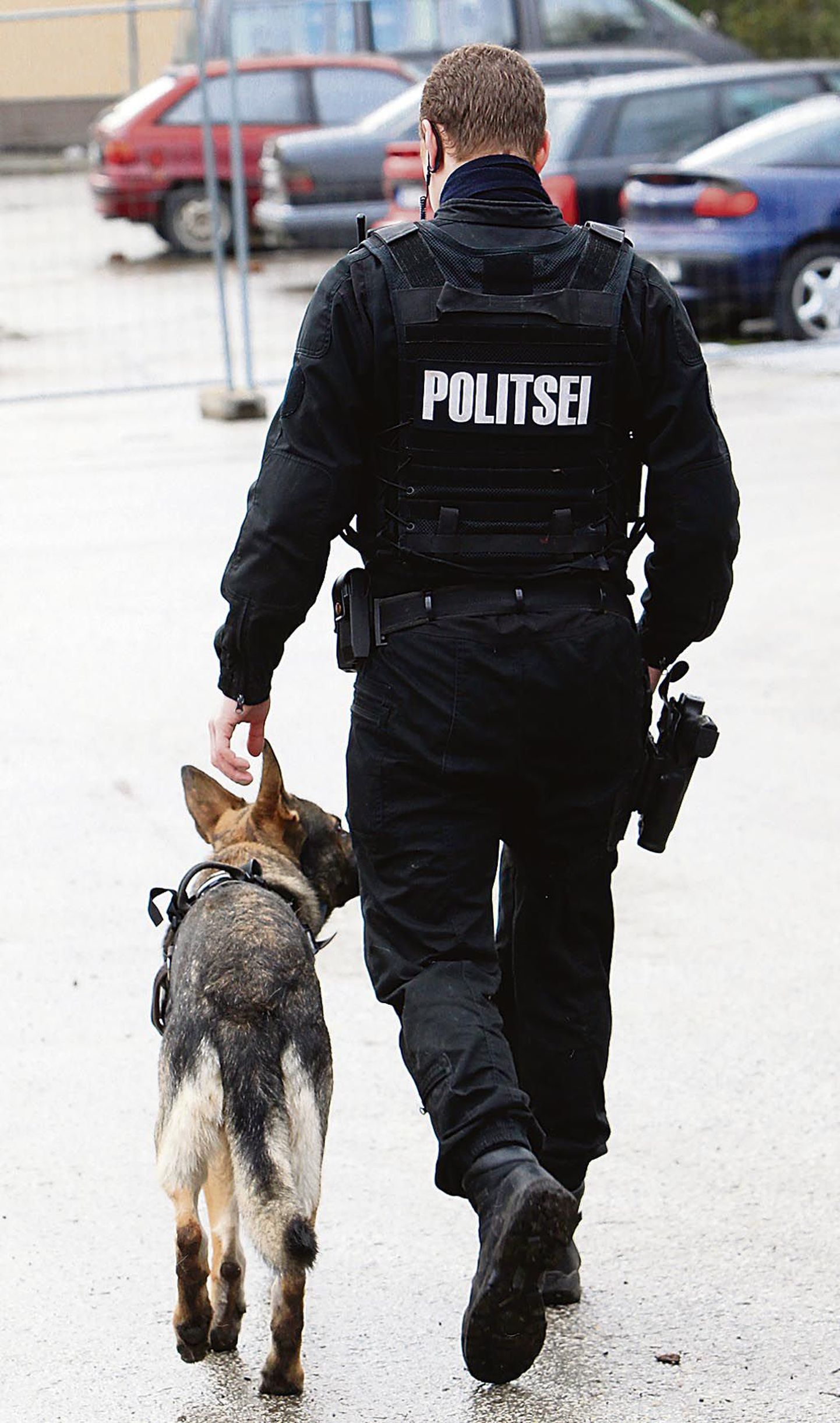 Peale Pärnu plaanitakse politseikoerad edaspidi tööle panna muudeski Lääne prefektuuri haldusala linnades.