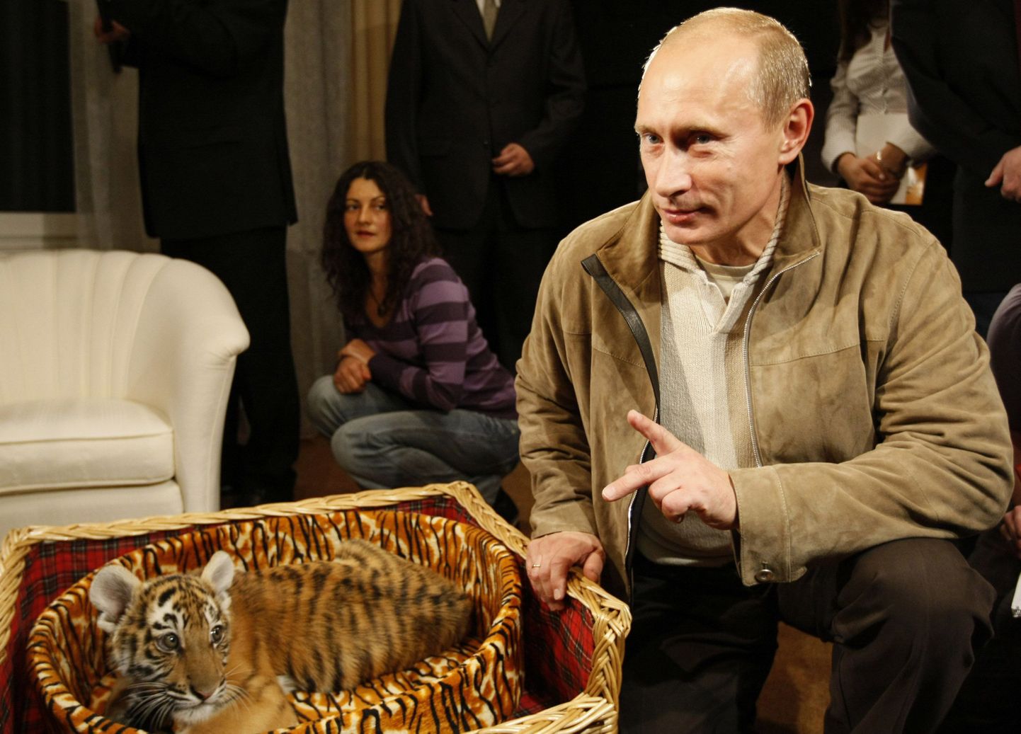 В прошедшем году Владимир Путин не раз представал в образе большого друга и защитника усссурийских тигров.